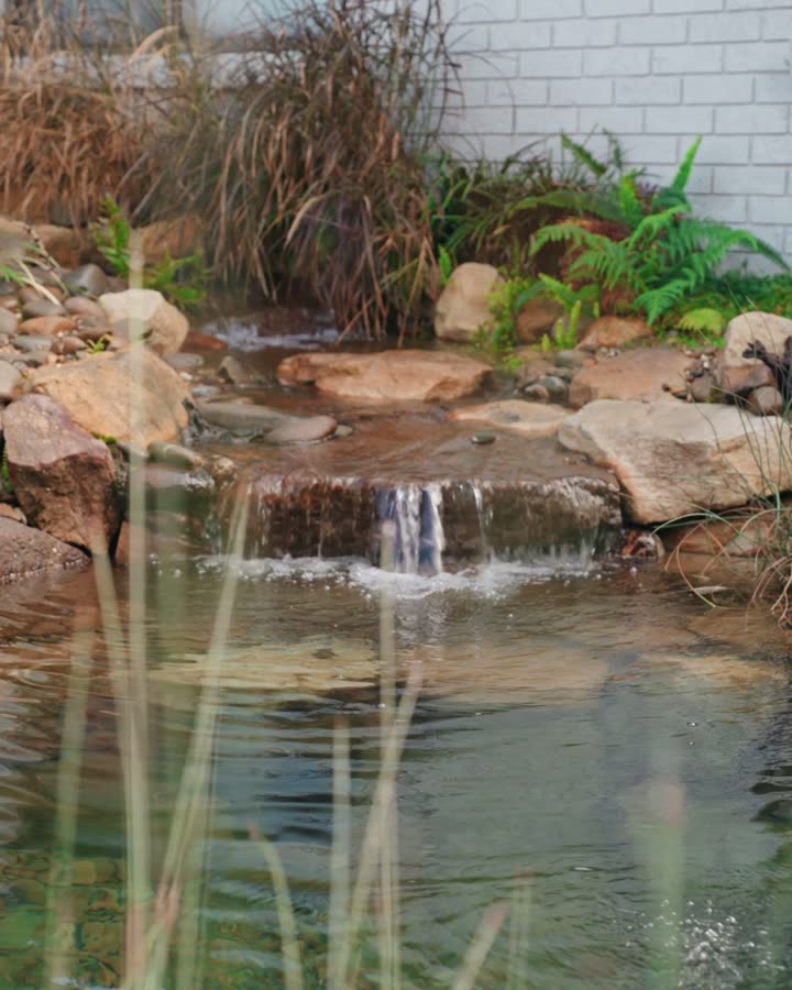 Finished landscaping with a water feature