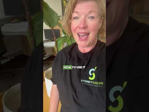 Kelly Scott from Sydney Garden Maintenance and Landscaping video testimonial